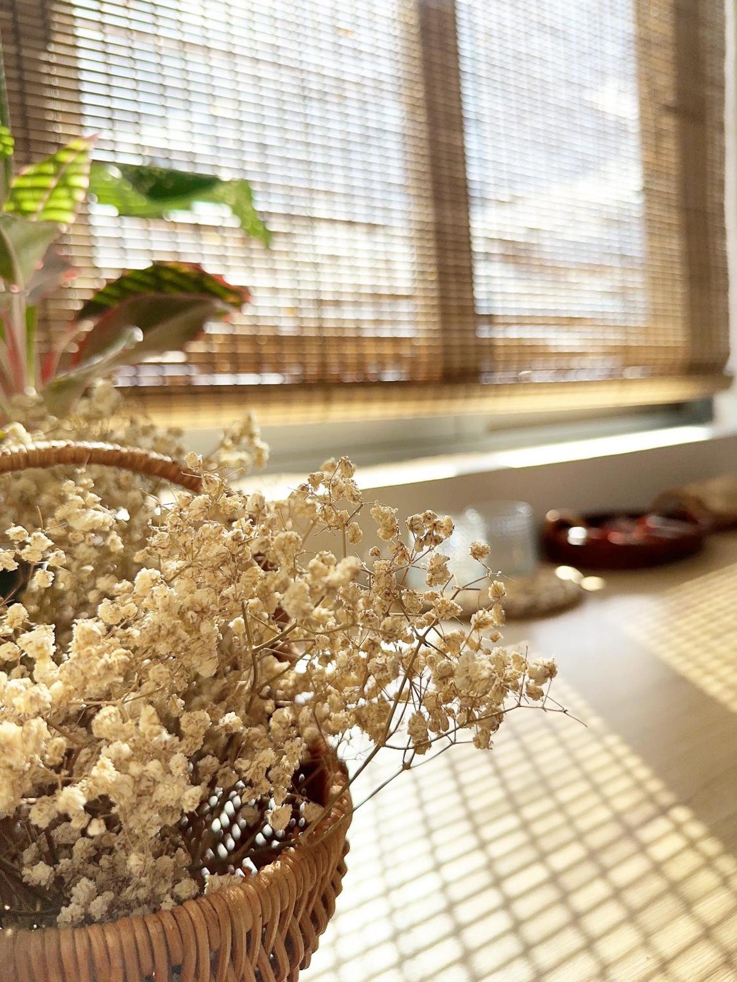 Mira De Sol Homestay 岘港 外观 照片