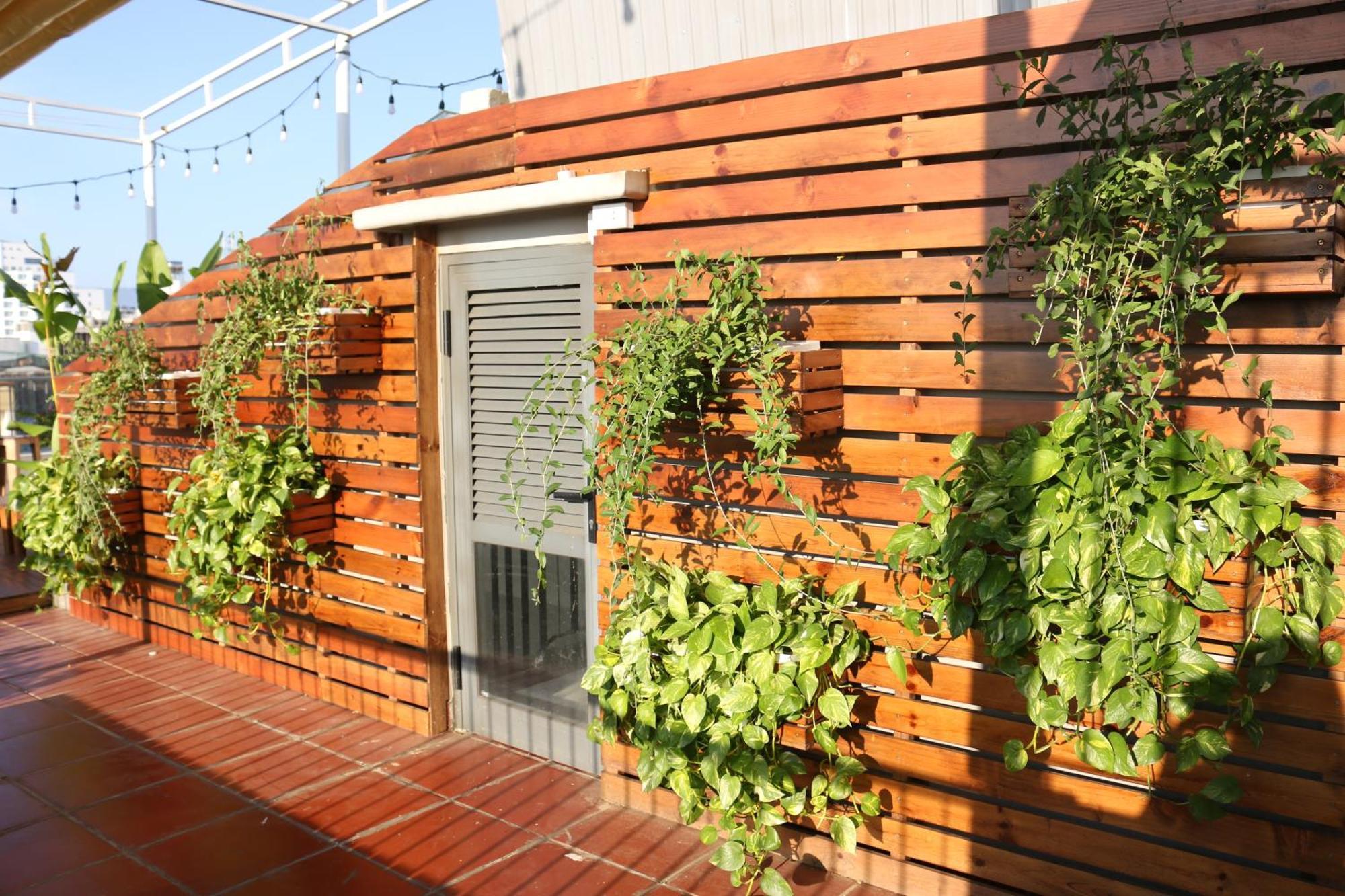 Mira De Sol Homestay 岘港 外观 照片